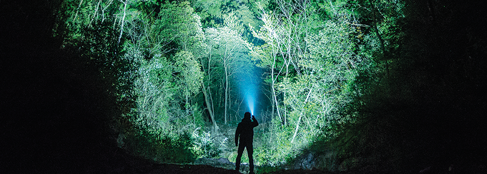 Safety in the Dark: Choosing the Right Lighting for Everyday Activities