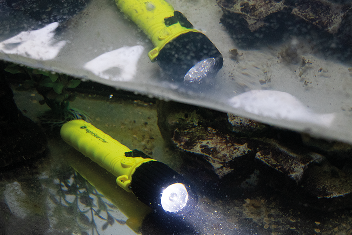 Sigma 4AA | 185 Lumens | Zone 0 | ATEX Flashlight Zone 0